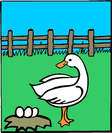 Ducks clip art