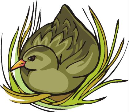 Ducks clip art
