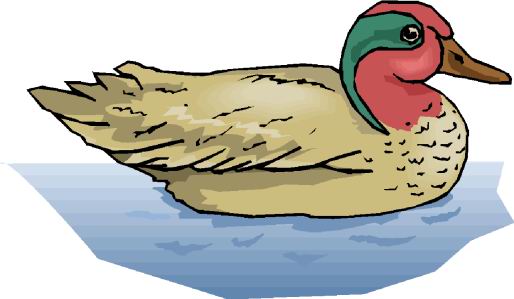 Ducks clip art