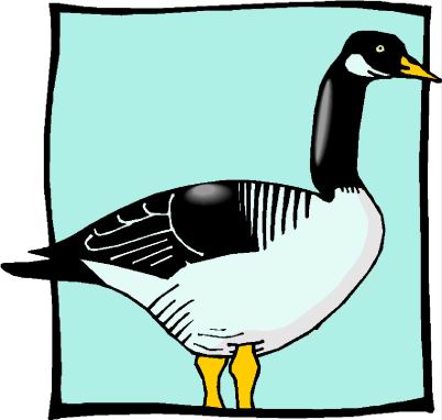 Ducks clip art