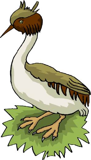 Ducks clip art