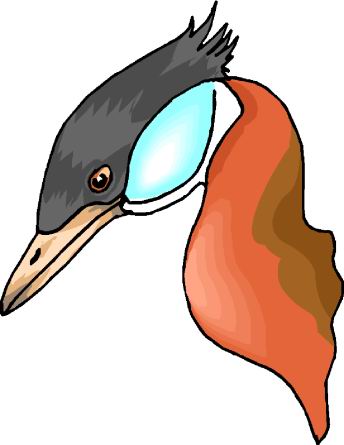 Ducks clip art