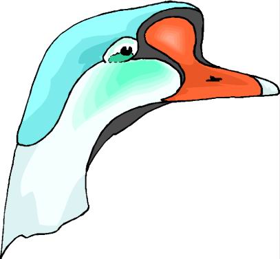 Ducks clip art