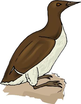 Ducks clip art