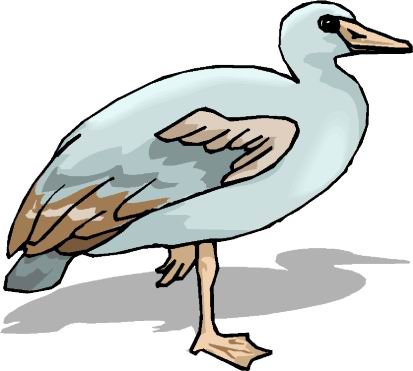 Ducks clip art