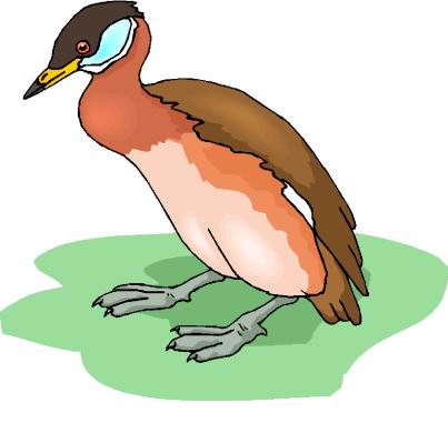 Ducks clip art