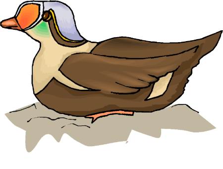 Ducks clip art