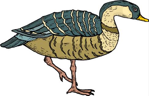 Ducks clip art