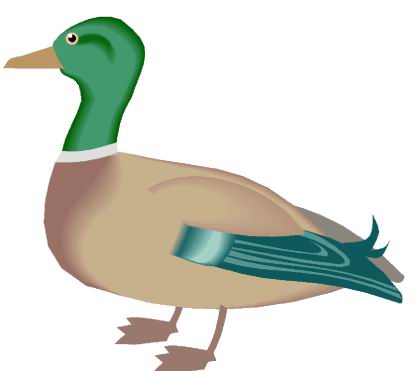 Ducks clip art