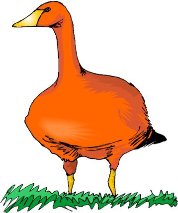 Ducks clip art