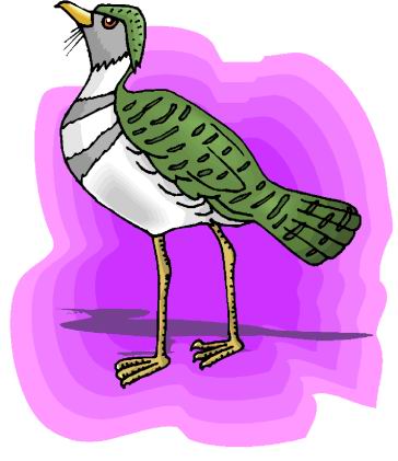 Ducks clip art