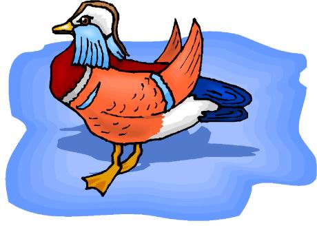 Ducks clip art