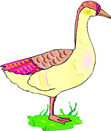 Ducks clip art