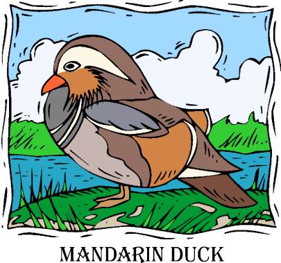 Ducks clip art