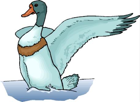 Ducks clip art