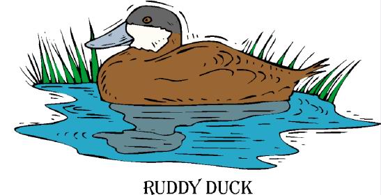 Ducks clip art