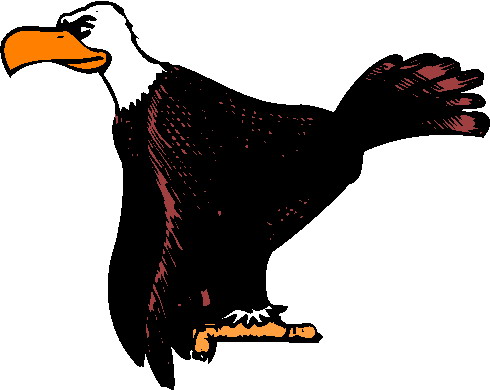 Eagle clip art