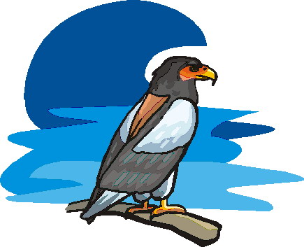 Eagle clip art