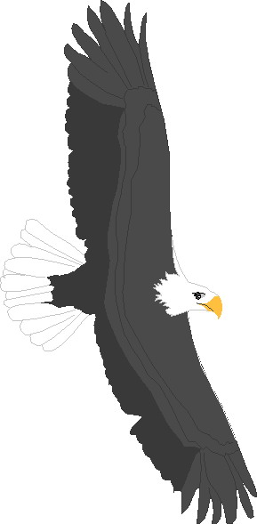 Eagle clip art