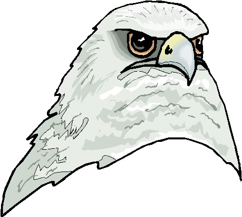 Eagle clip art