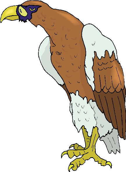 Eagle clip art