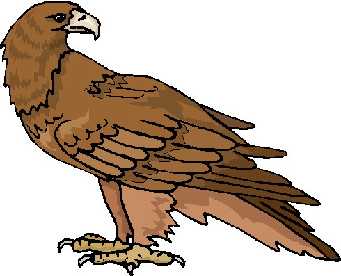 Eagle clip art