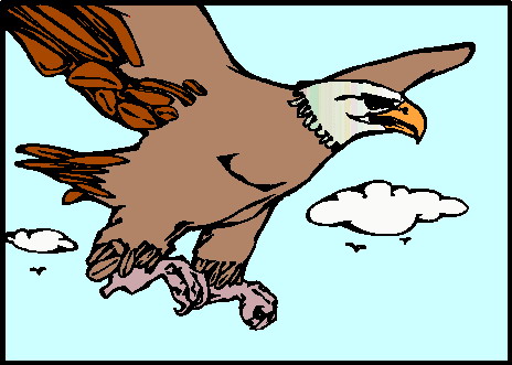 Eagle clip art