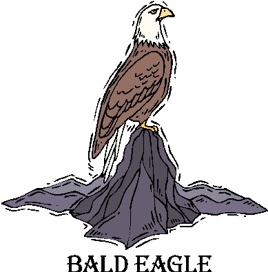 Eagle clip art