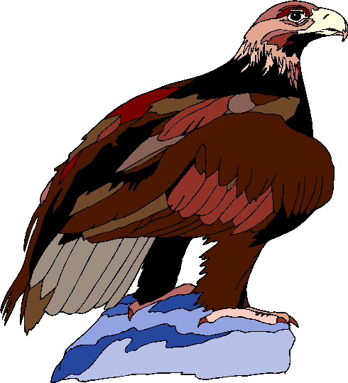 Eagle clip art