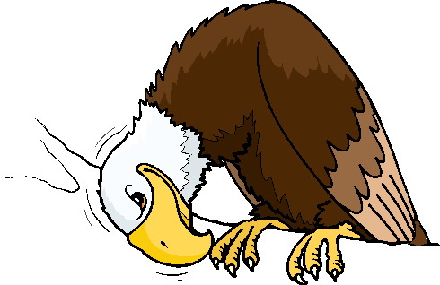 Eagle clip art