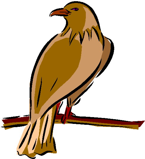 Eagle clip art