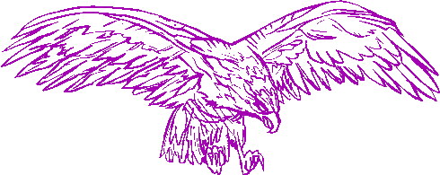 Eagle clip art