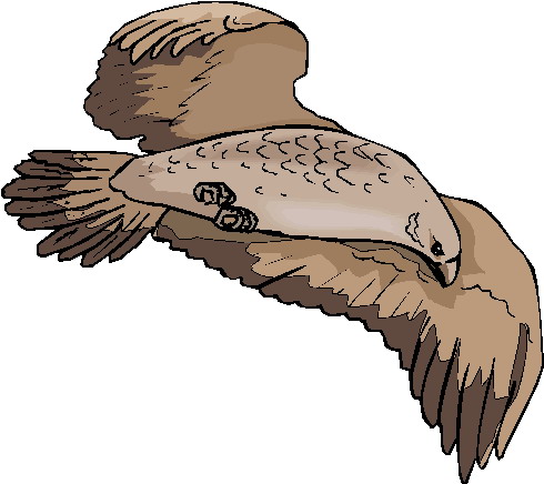 Eagle clip art