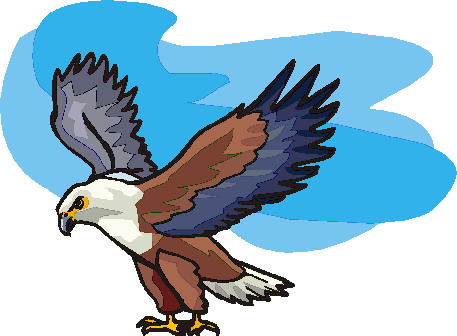 Eagle clip art