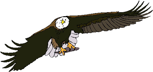 Eagle clip art