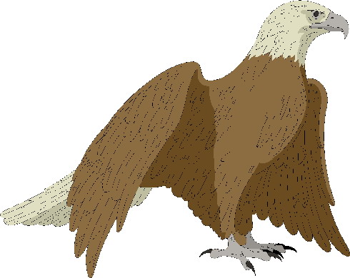 Eagle