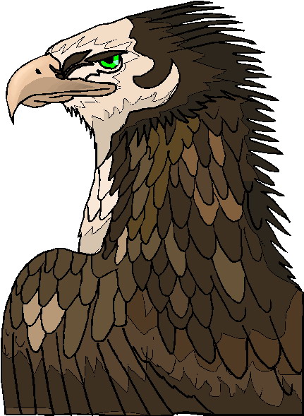 Eagle clip art