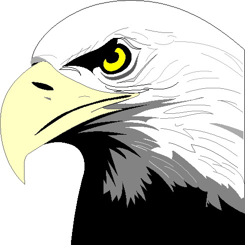 Eagle clip art