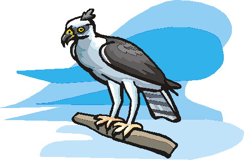 Eagle clip art