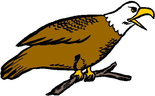 Eagle clip art