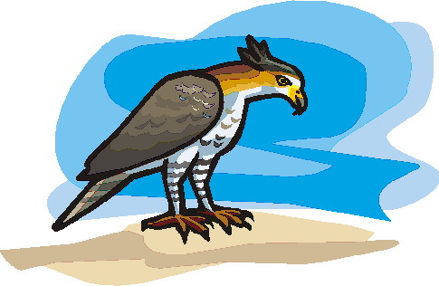 Eagle clip art