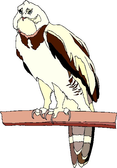 Eagle clip art