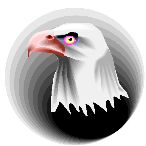 Eagle clip art