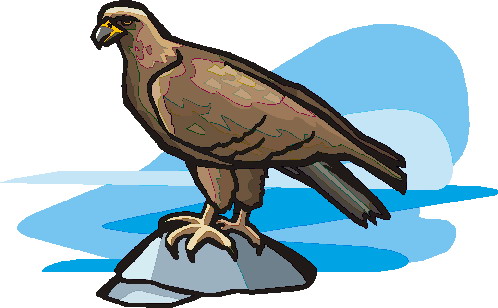 Eagle clip art