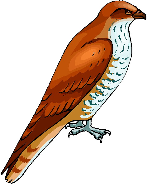 Eagle clip art