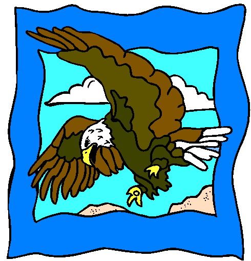 Eagle clip art