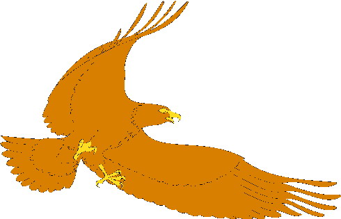 Eagle clip art