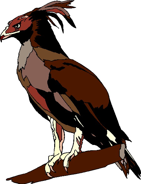 Eagle clip art