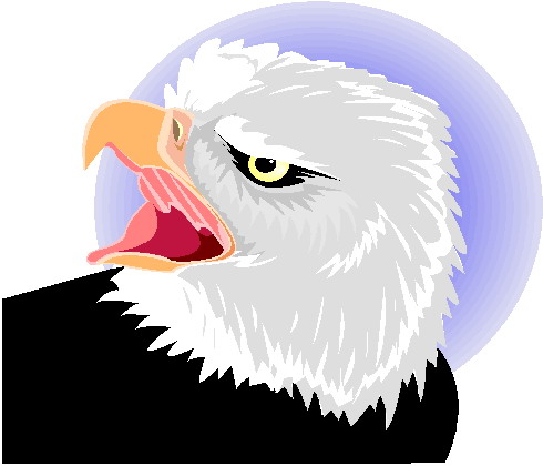 Eagle clip art