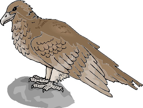 Eagle clip art